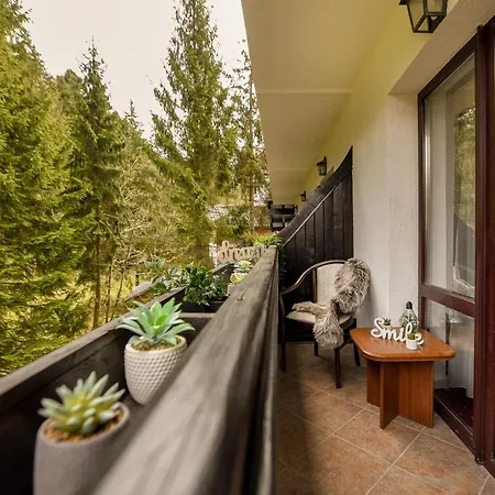Apartment Let's Ski - Wild & Free Ideal With View *